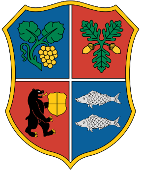 Berehove district ua